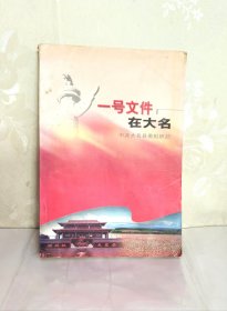 一号文件在大名