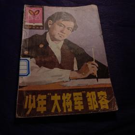 少年大将军邹容