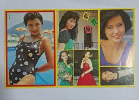 明星贴纸，李美凤，杨宝玲，蓝洁瑛，张国荣，利智，钟楚红
