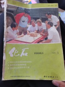 化石（89-91年三年12期全）