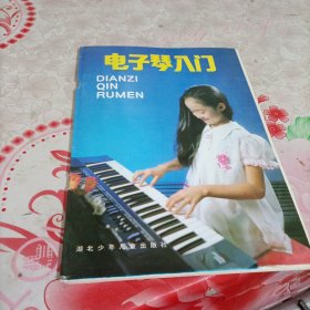 电子琴人门，有破损