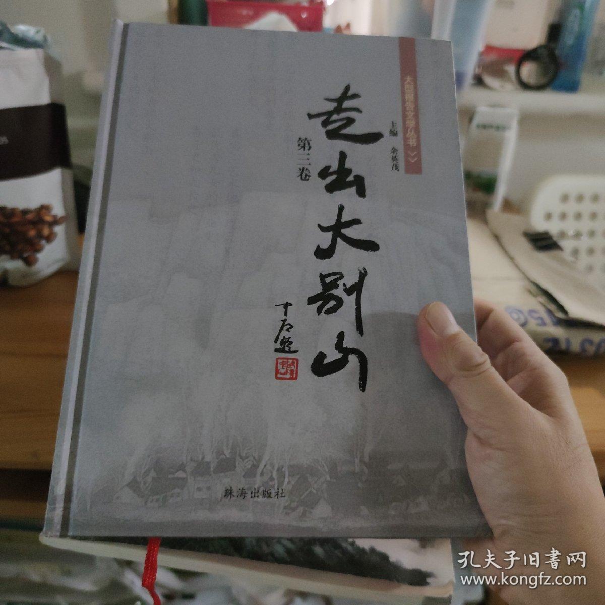 走出大别山 第三卷