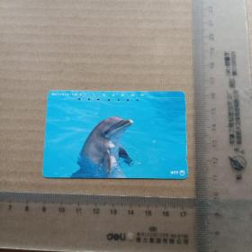 日本电话卡，海豚