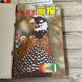 少年科学画报1983年1-12期缺第11期