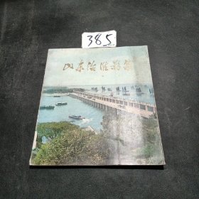 山东治淮影集