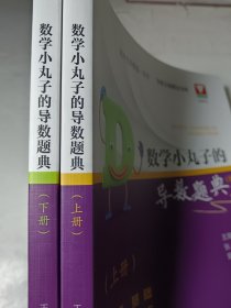 数学小丸子的导数题典(全2册)，正版，无笔记划线