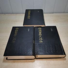 中国医学大辞典  2.3.4册    三本合售