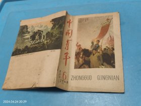 中国青年1960年第6期