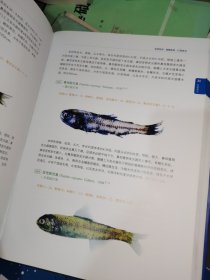 中国海洋鱼类