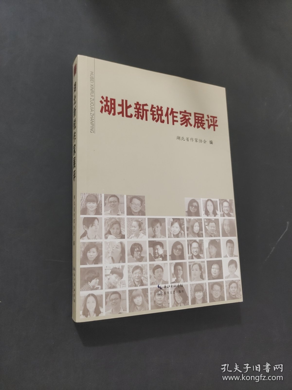 湖北新锐作家展评