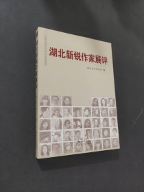 湖北新锐作家展评