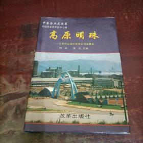 高原明珠 云南铝业股份有限公司发展史 精装.