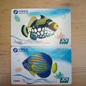 201卡：鱼WDIN(2000-11-8-3)/6，2张合售