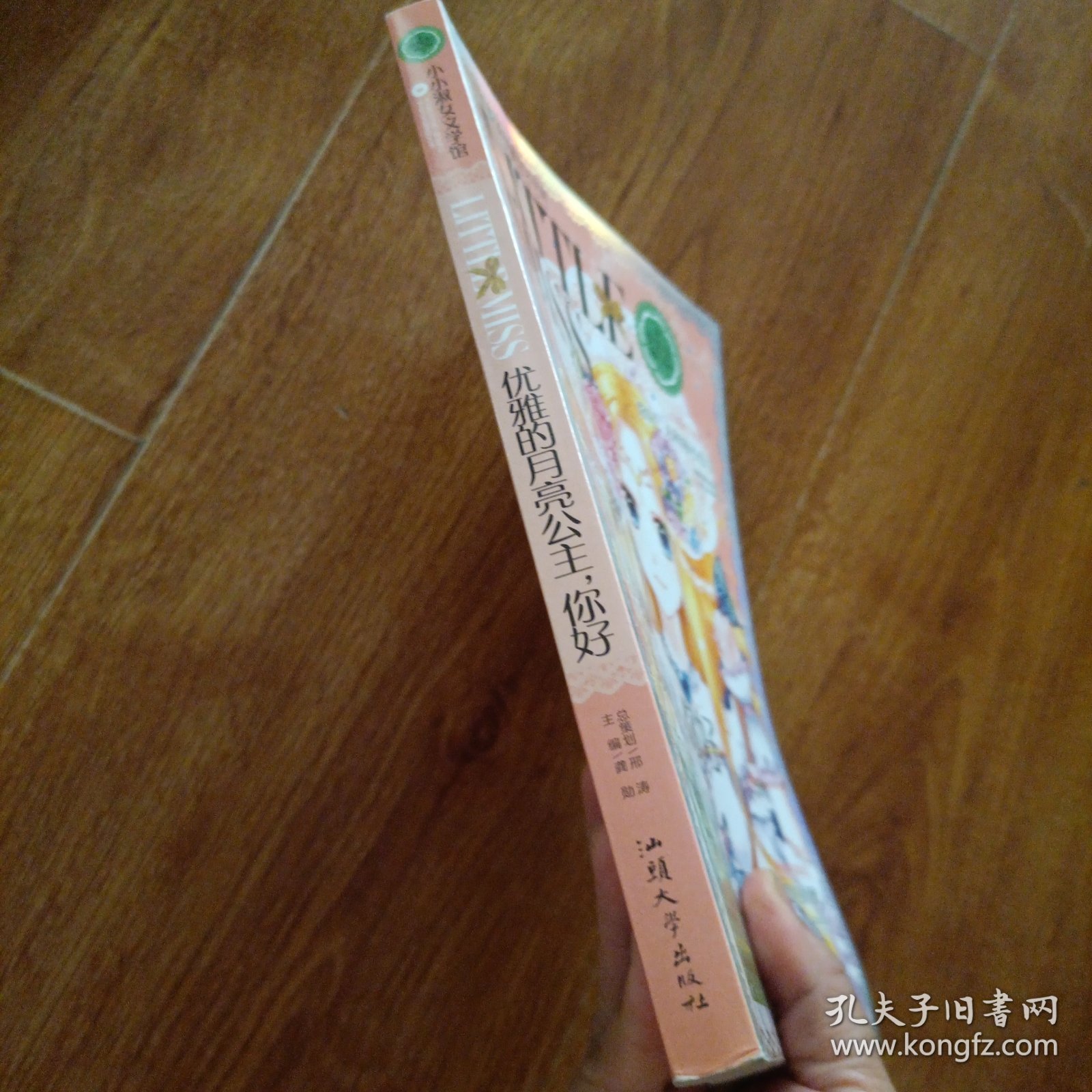 优雅的月亮公主，你好