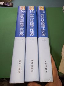 中国劳动与社会保障工作实务 全3册
