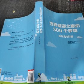 世界能源之巅的300个梦想：神华成功探秘