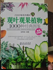 观叶观果植物1000种经典图鉴（超值白金版）