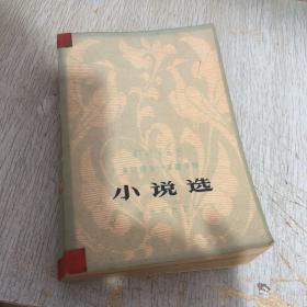 小说选 上