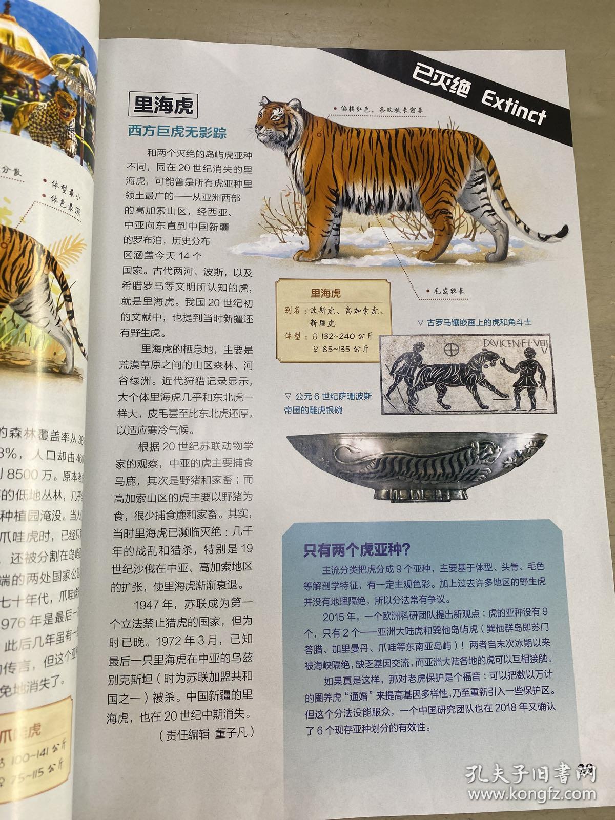 博物，虎的专辑
