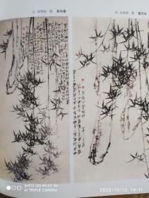 国画训练新编——教你怎样画国画-植物篇