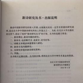新诗研究丛书    中国现代解诗学的理论与实践