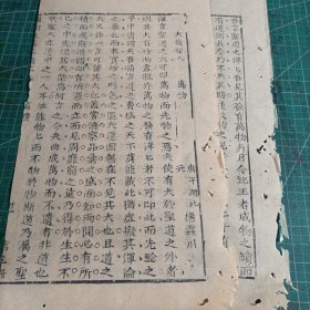 清湖北省武昌县杨霖川庚午年湖北乡试解元科举文章《大哉圣人》二张。