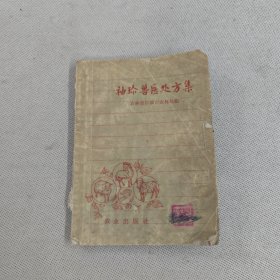 袖珍兽医处方集