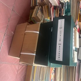 贵州清水江文书三穗卷 第四五六七辑，共二十册