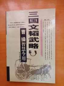 三国文韬武略--曹操智慧今用