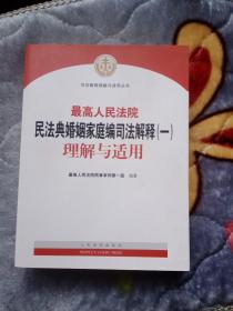 最高人民法院民法典婚姻家庭编司法解释（一）理解与适用