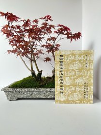 南宋高宗偏安江左原因之探讨，32开170页，2016年台文史哲初版