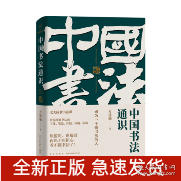 中国书法通识（北大爆款书法课，带你成为一个懂书法的人 得到图书 方建勋）