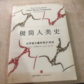 极简人类史：从宇宙大爆炸到21世纪