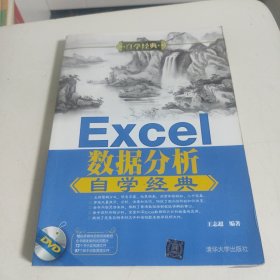 Excel数据分析自学经典/自学经典