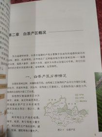白茶经营史录