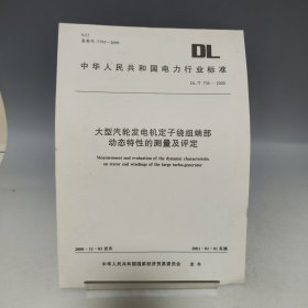 大型汽轮发电机定子绕组端部动态特性的测量及评定【中华人民共和国电力行业标准】