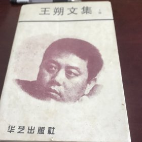 王朔文集（下卷）【封皮是上卷】