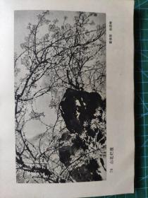 画页（散页印刷品）—七十年代老画页——山花烂漫【霍春阳，孙琪峰】。梅园长春【宋文治】1631