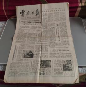 云南日报1980年11月1日