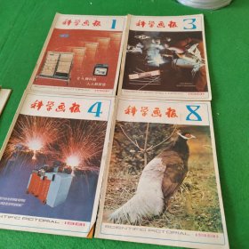 科学画报1981年第1.3.4.8期 4本合售