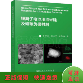 锂离子电池用纳米硅及硅碳负极材料