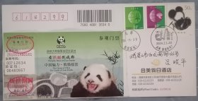 T106熊猫+成都大熊猫繁衍基地门票实寄封成都熊猫邮局风景戳+熊猫基地戳 成都合美假日酒店公函封