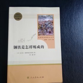 统编语文教材配套阅读 八年级下：钢铁是怎样炼成的/名著阅读课程化丛书