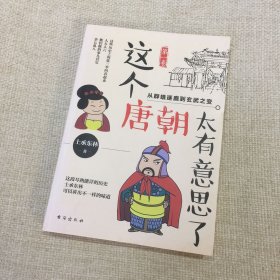 这个唐朝太有意思了 第一卷：从群雄逐鹿到玄武之变