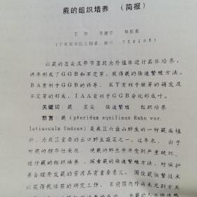 九十年植物形态学学术讨论会交流文章一组