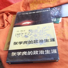 张学良的政治生涯（精装）