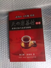 武夷山大红袍传奇 天心岩茶村村谱