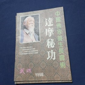 中国佛教养生长寿术——达摩秘功(武魂特辑