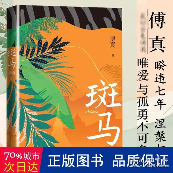 斑马（傅真2022年全新力作，从北京到曼谷，跨越三千二百公里的治愈之旅）