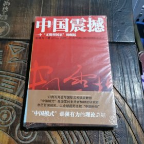 中国震撼：一个“文明型国家”的崛起